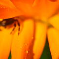 P9023021